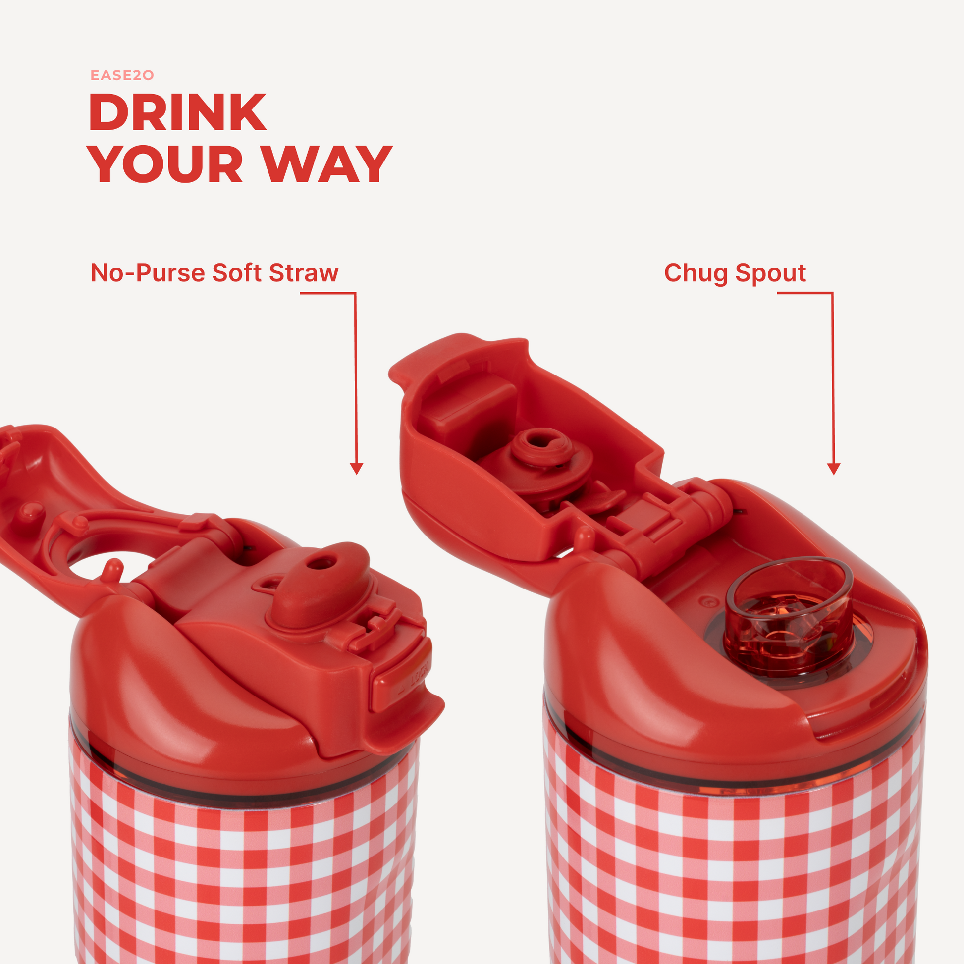 summer-picnic-24oz-710ml-v3 Ease24-SummerPicnic-3WPI.png
